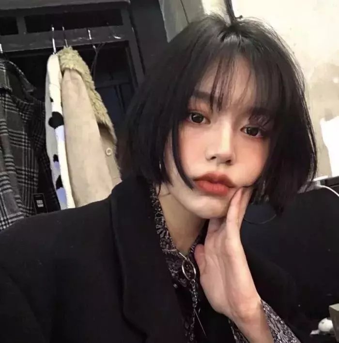 哈莉·奎茵第五季