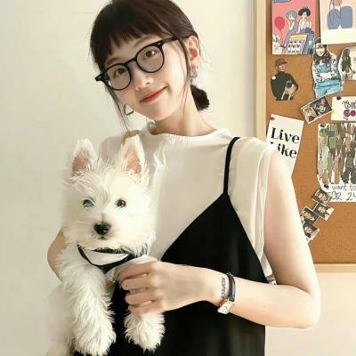 孔雀南飞